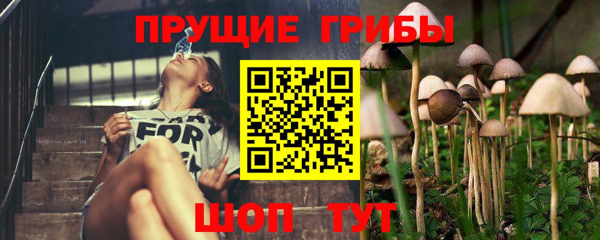 Псилоцибиновые грибы Psilocybine cubensis Воткинск